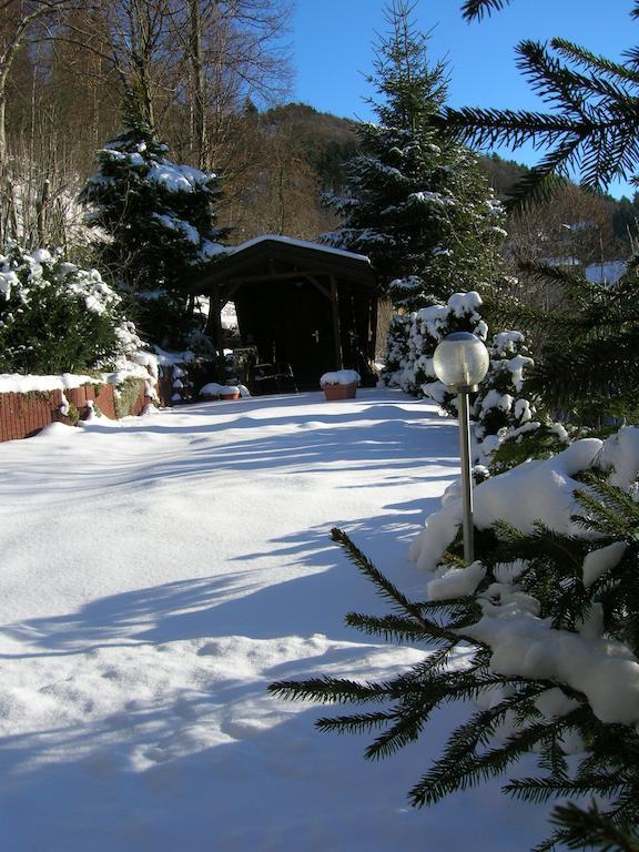 Aktivpension Regenbogen Виллинген Экстерьер фото